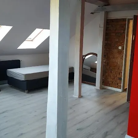 Witkacego Czerwony *