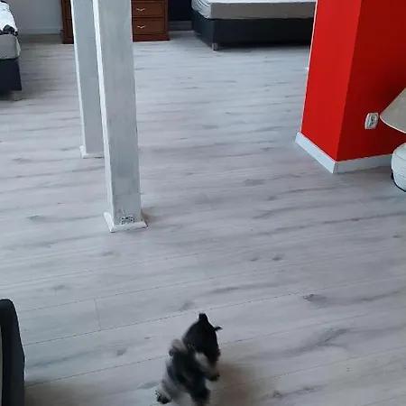 Witkacego Czerwony 아파트 스와프스크